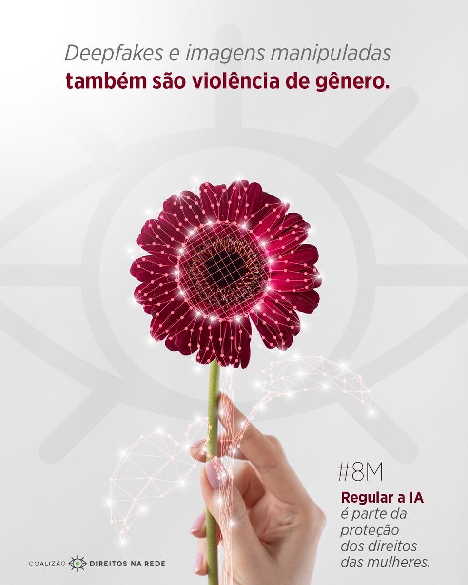 Direitos na Rede tweet media