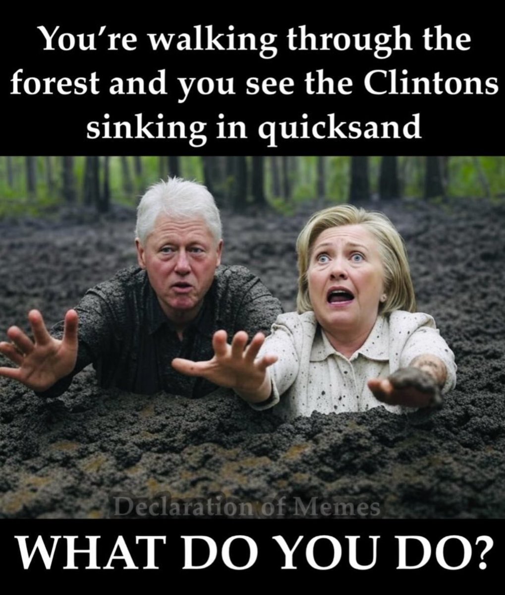 Declaration of Memes tweet media