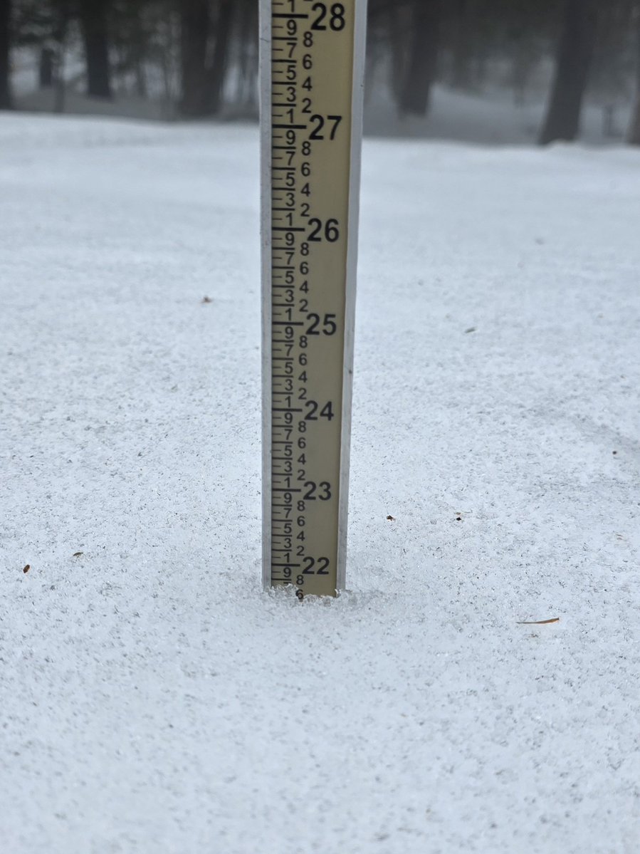 Greg Forrister tweet media