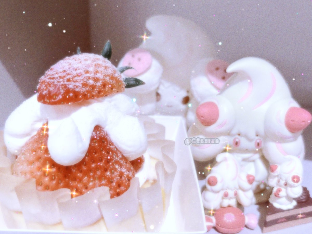 ｼｼﾌﾞﾀﾞｲ🐟 tweet media