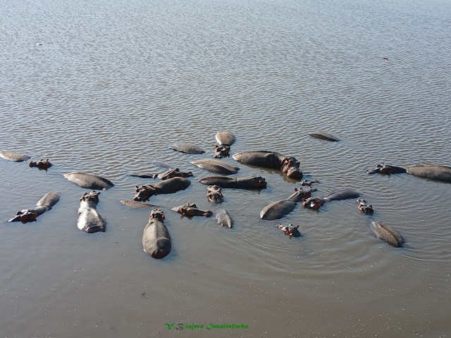 V(B)iajero Insatisfecho tweet media