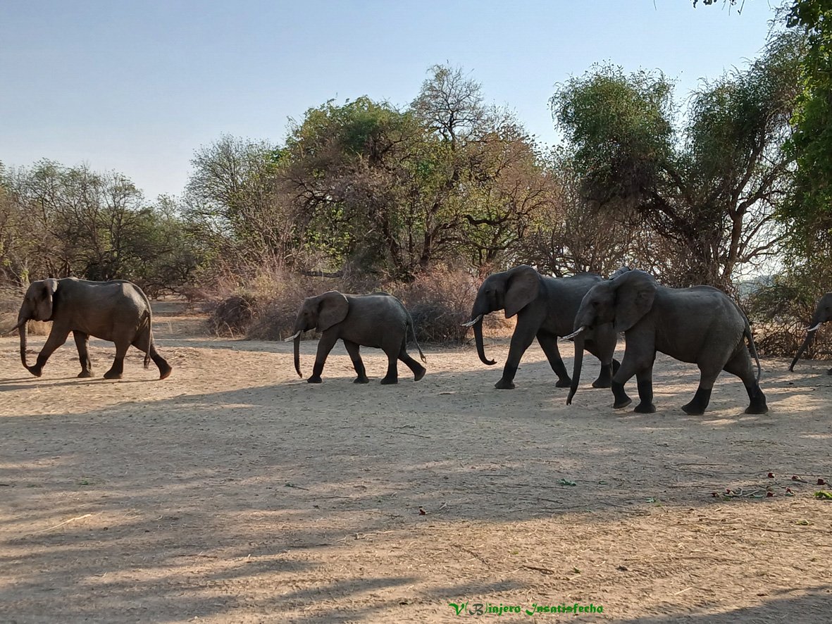 V(B)iajero Insatisfecho tweet media