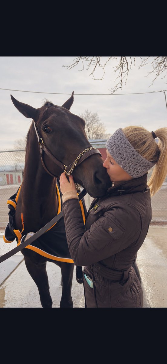 Happy retirement On Command! She was the very first horse in the barn ...