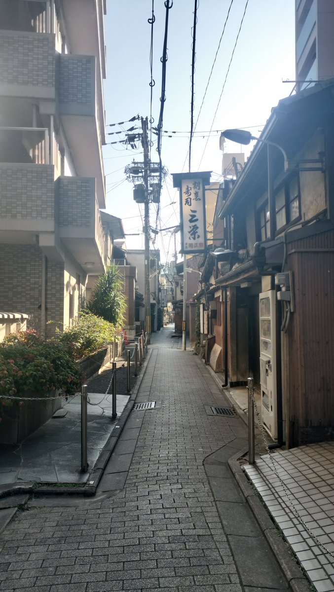 ︎︎︎︎︎︎☑︎Kacto🥞
鴨川を見渡せる京都のカフェでモーニング食べたよ☀︎
#日常垢 #カフェ巡り好きな人と繋がりたい