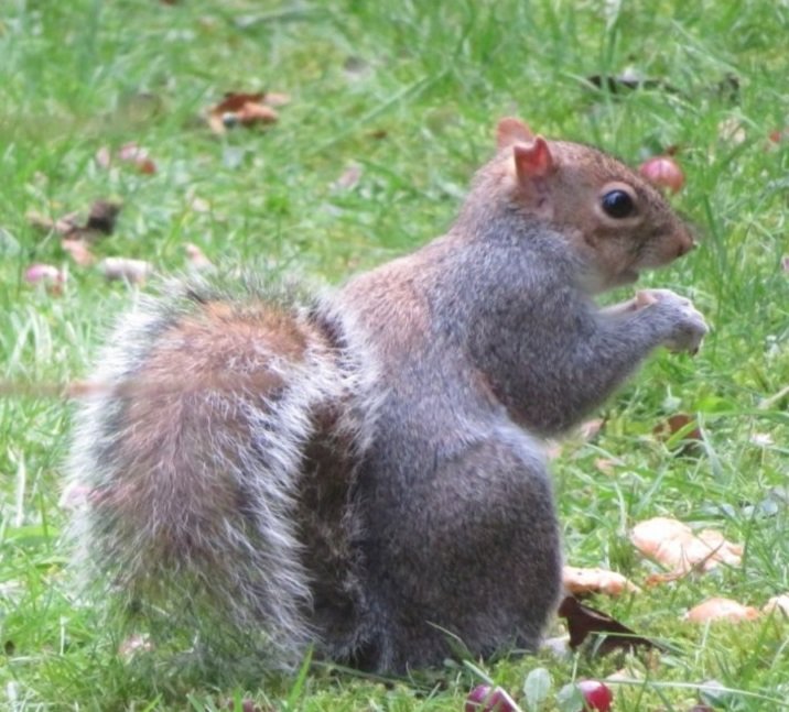 SunflowerSusi🦋🌻 tweet media