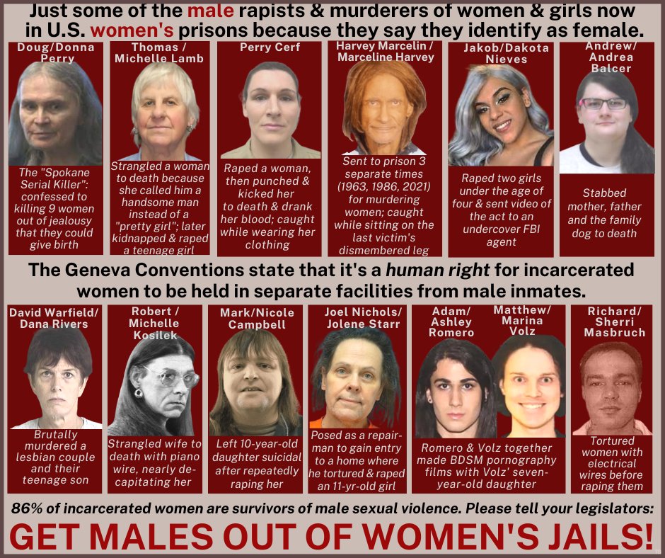 ♀️Jennifer Gingrich ✡️ tweet media