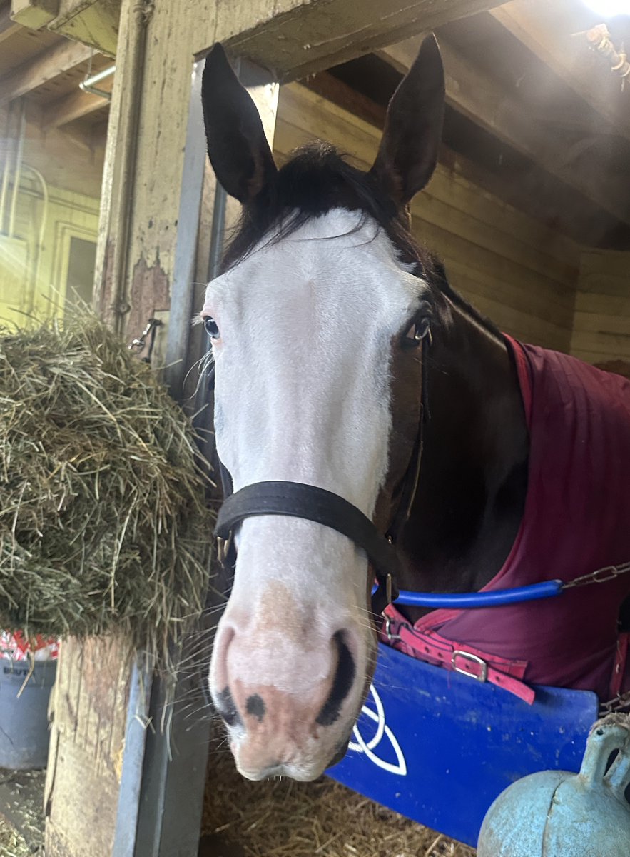 Mary Eddy🏇🏼 tweet media