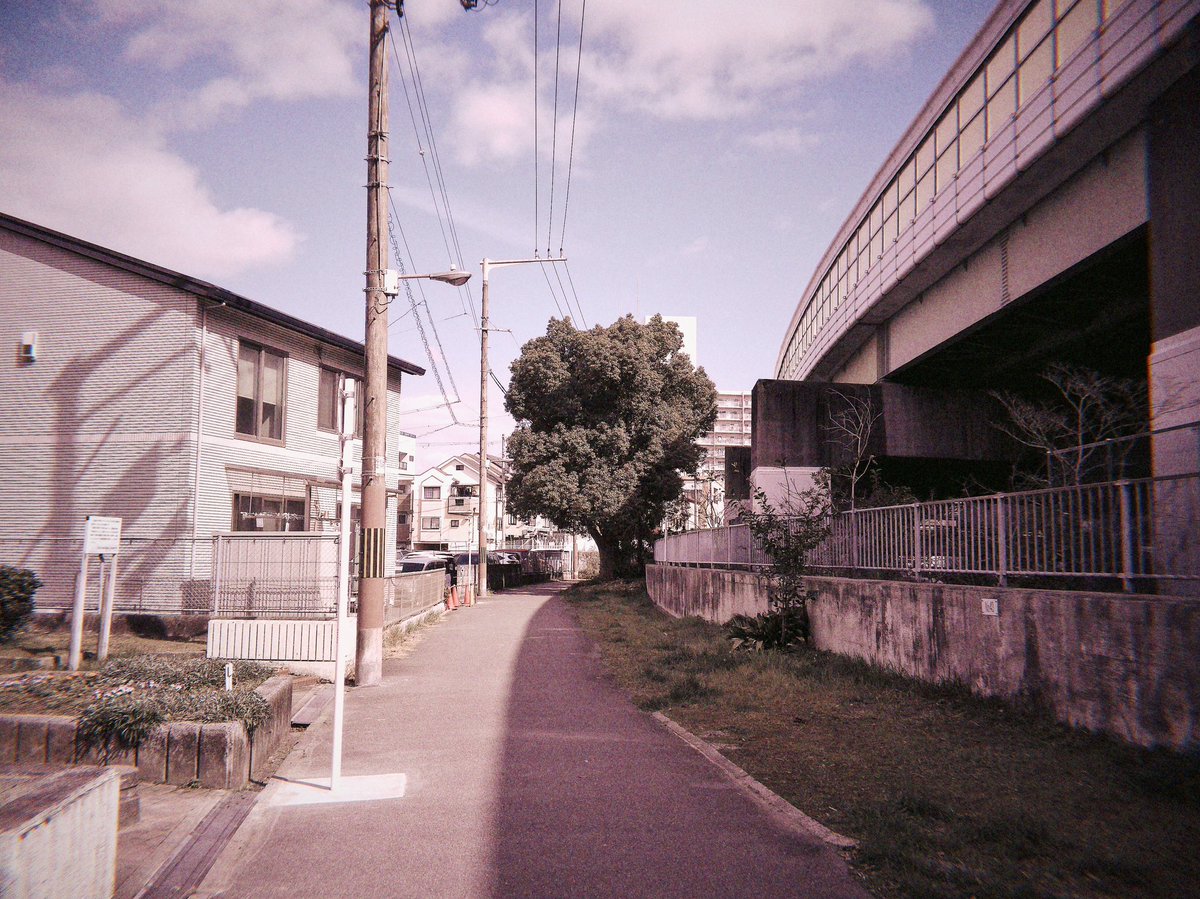 Yasu¹⁹⁶⁷ tweet media