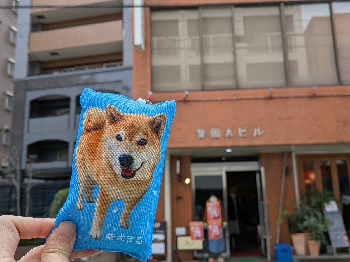 30kurozukin's tweet photo. #柴犬まる写真展in福岡
開催ありがとうございました🙏
かしいかえんのイベント中止の時からずっと福岡でまた何かないかと心待ちにしてました
ビルの名前が丸ビルなのもよかったし、カステラあったのもほんと嬉しい！
また福岡での開催楽しみにしてます😊 https://t.co/F6jey8Ze3U