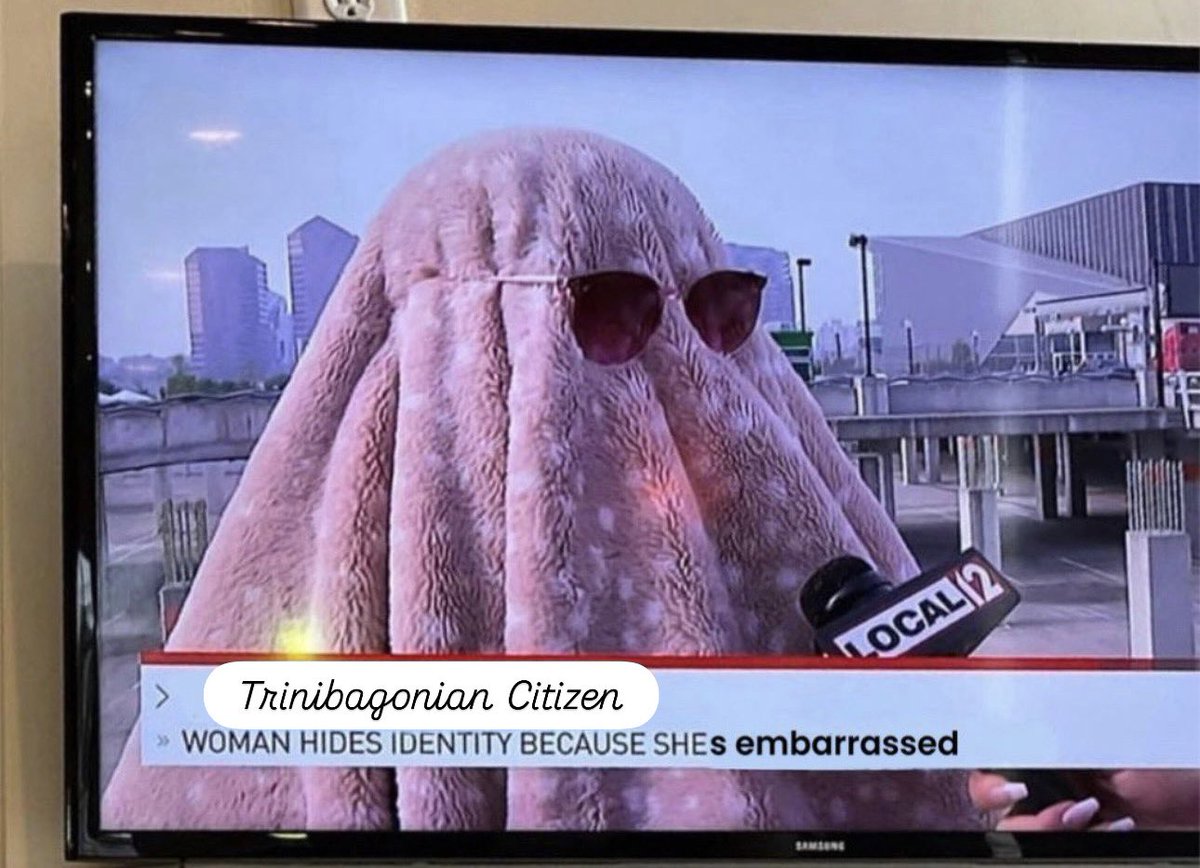 How it feels to be a Trinidadian after seeing the activities of that PM lady