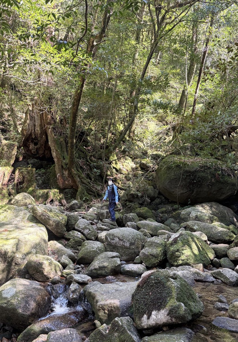 榊原萌 tweet media