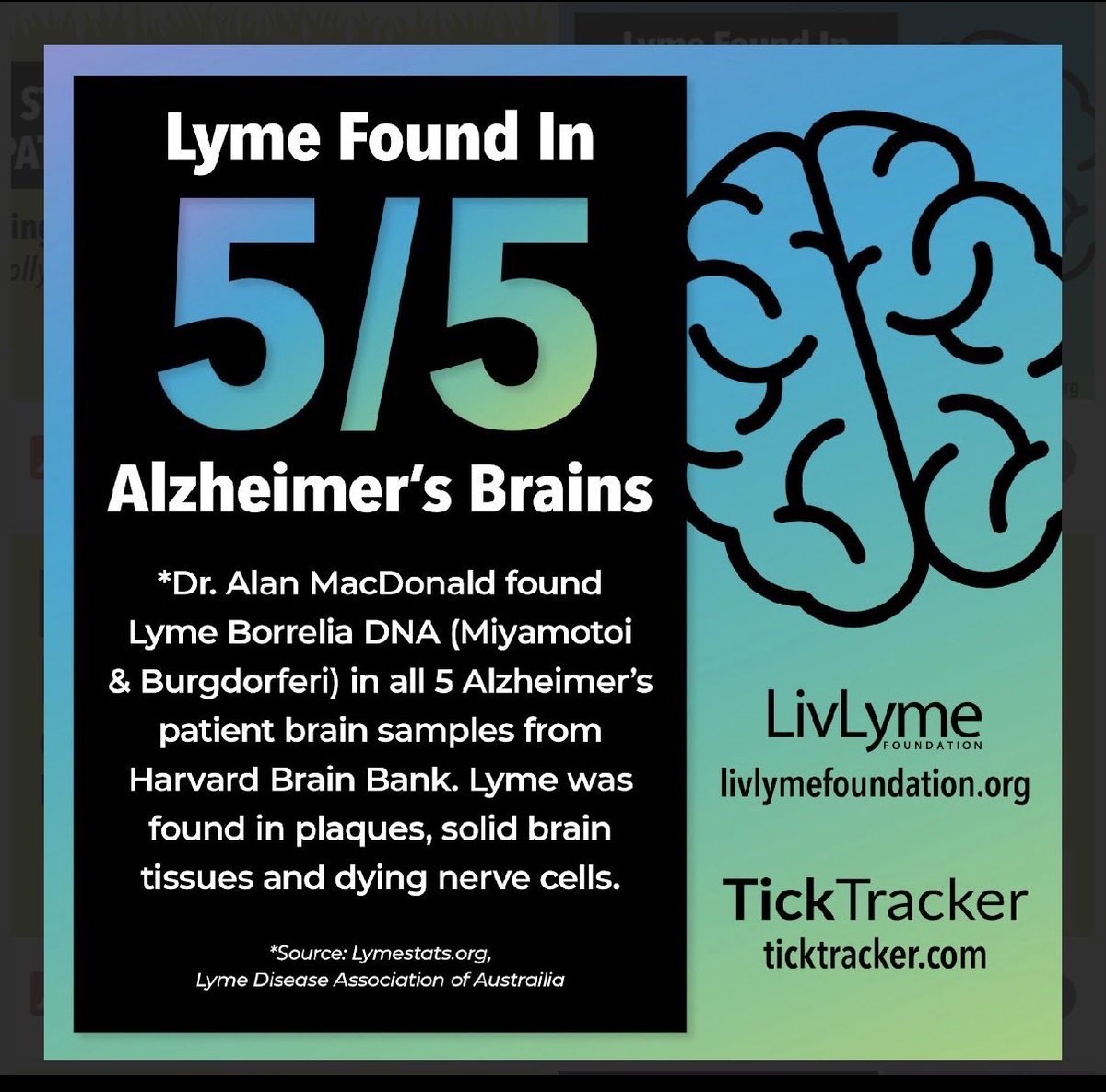 LivLymeFoundation tweet media
