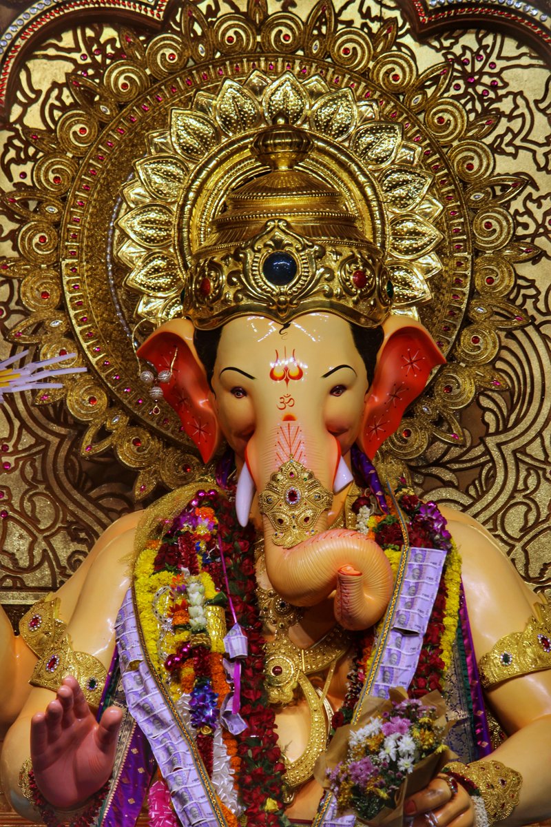 Mumbai Indians tweet media