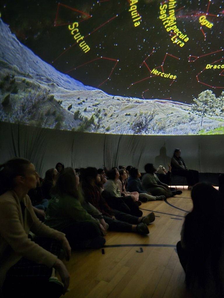 Tracey's Elementary tweet media