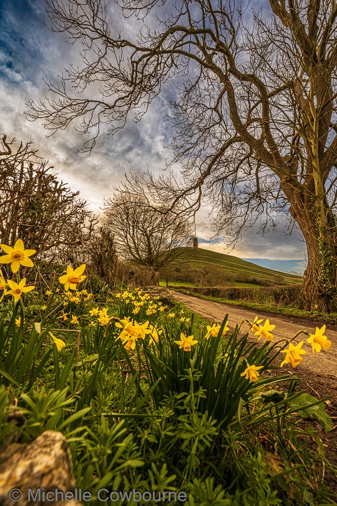 Michelle Cowbourne tweet media