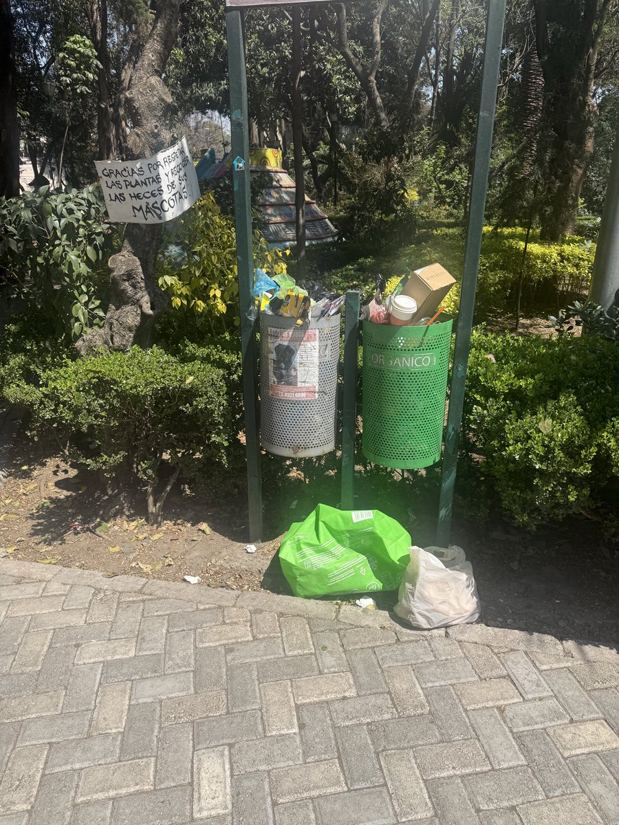 akvalol's tweet photo. @BJAlcaldia @GobCDMX parque Miraflores en Sanpedro de los pinos es un foco de infección y ratas. No hay limpieza por parte de la alcaldía. https://t.co/jDpaR95jV9