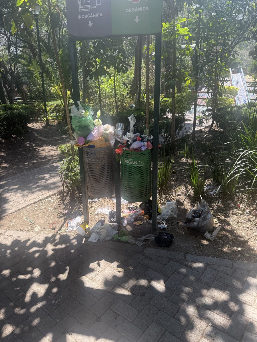 akvalol's tweet photo. @BJAlcaldia @GobCDMX parque Miraflores en Sanpedro de los pinos es un foco de infección y ratas. No hay limpieza por parte de la alcaldía. https://t.co/jDpaR95jV9
