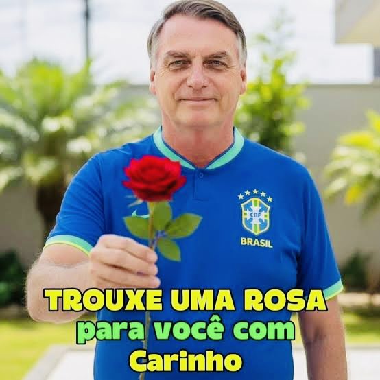 Central do Selinho Azul tweet media