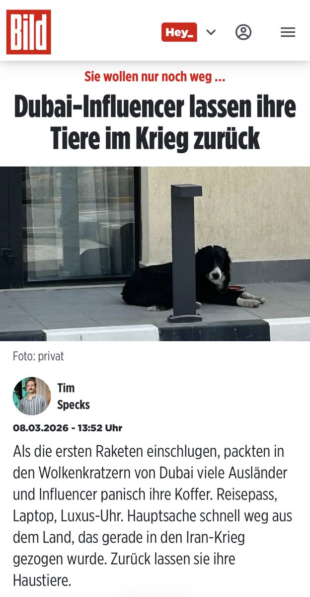 E L - K O T Z O tweet media