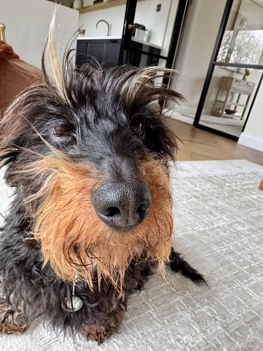 IsabellaDaxie tweet picture