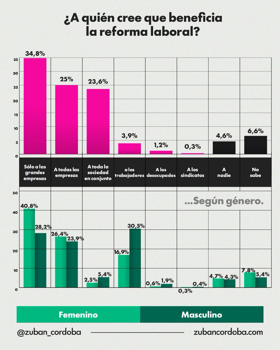 👷 Reforma laboral ¿A quién creen que beneficia?

• 34,8%: grandes empresas
• 25%: todas las empresas
• 23,6%: toda la sociedad

Solo 3,9% cree que beneficia a trabajadores.

Entre mujeres solo el 16.9% lo piensa, mientras que el 30.5% de los hombres.