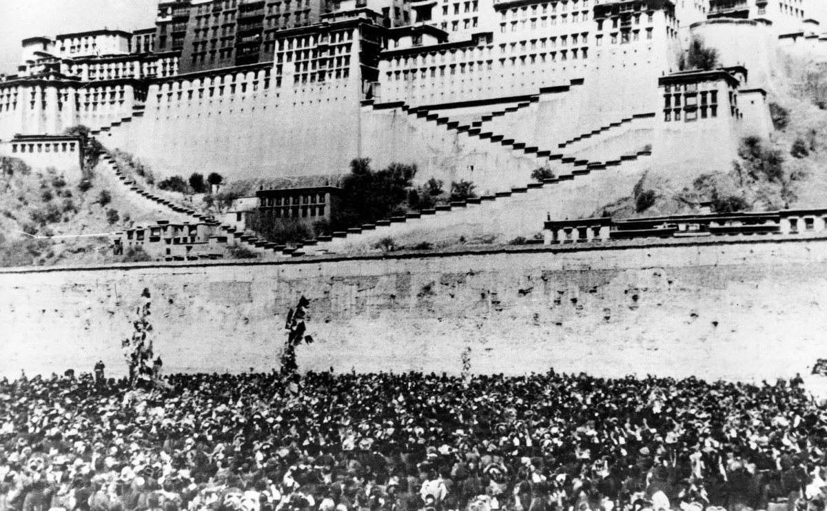 Tibet Rights Collective tweet media