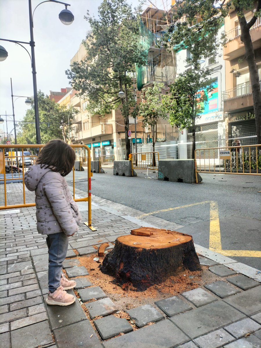 Defensemcalarnus tweet media