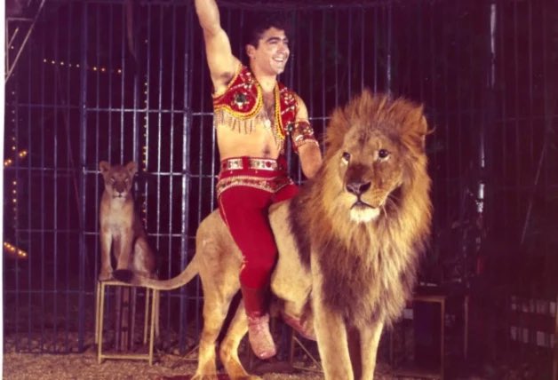 Alégrame el día tweet media