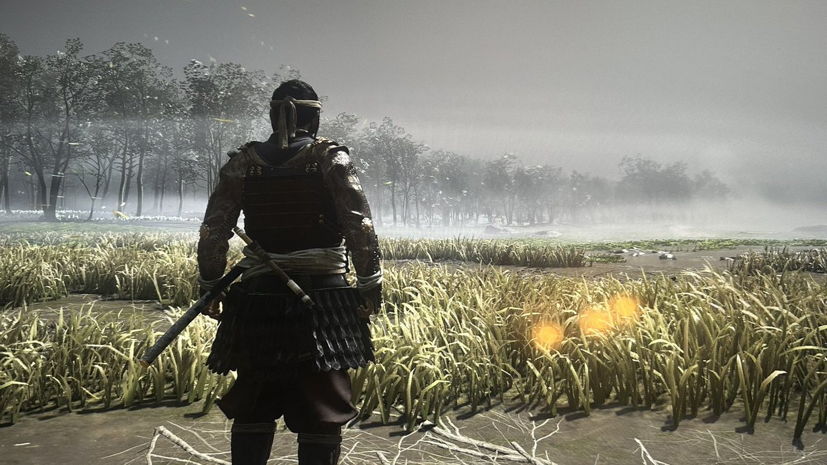 Charizard4249 tweet media