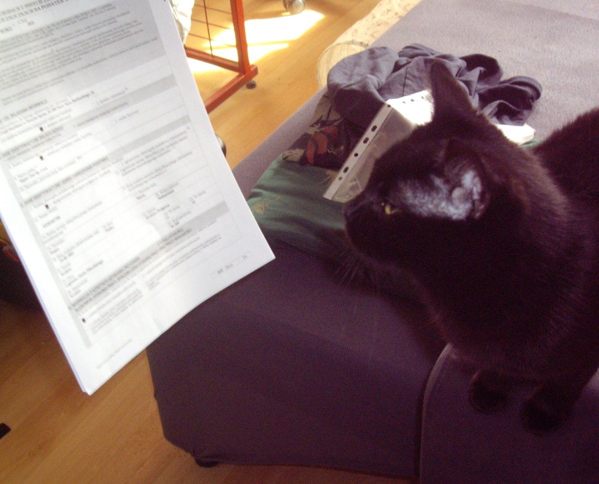 TØP PARTY tweet media