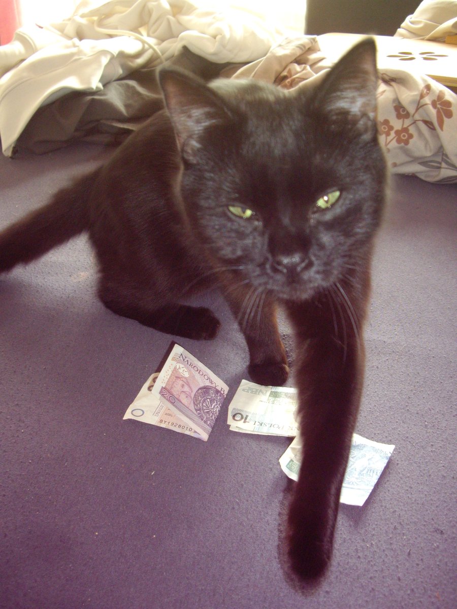 TØP PARTY tweet media