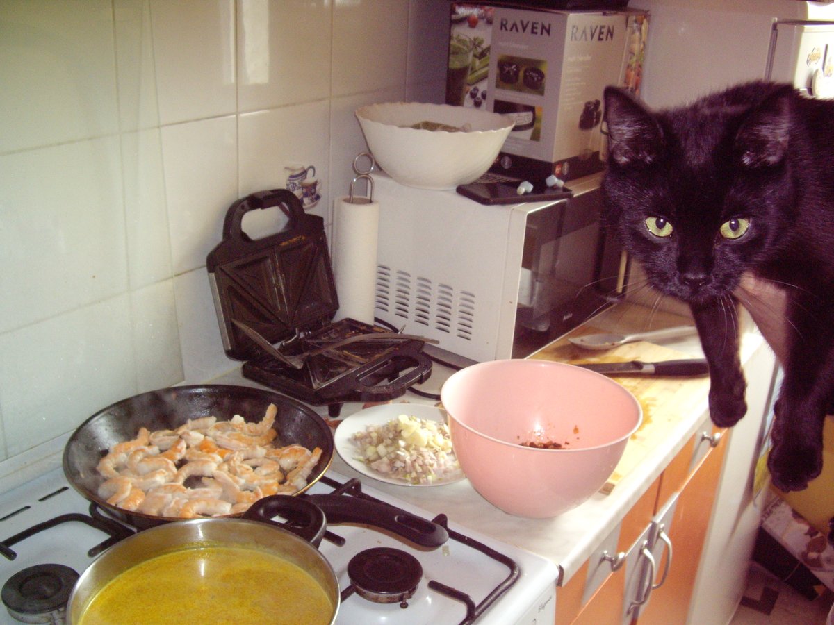 TØP PARTY tweet media