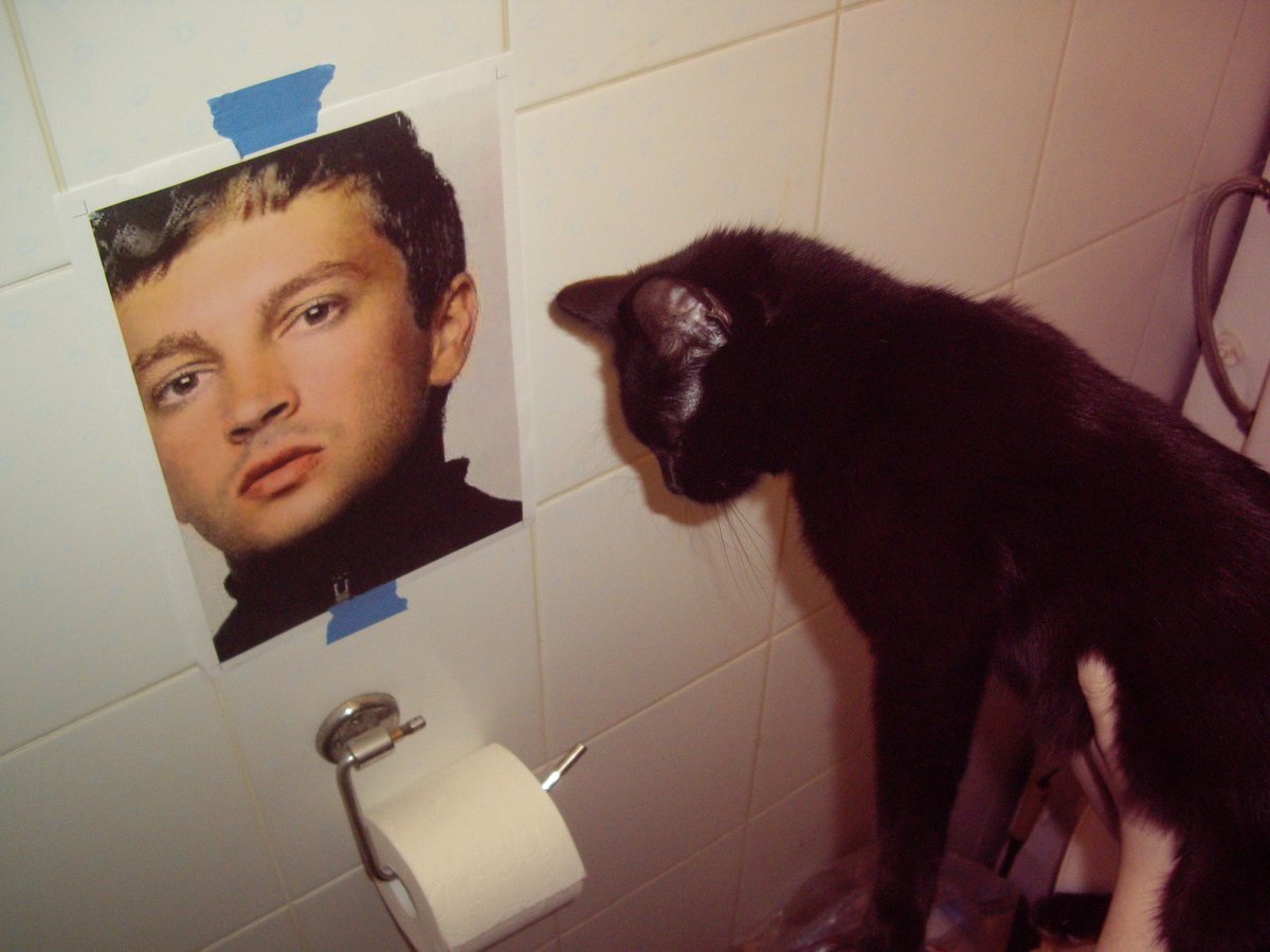 TØP PARTY tweet media