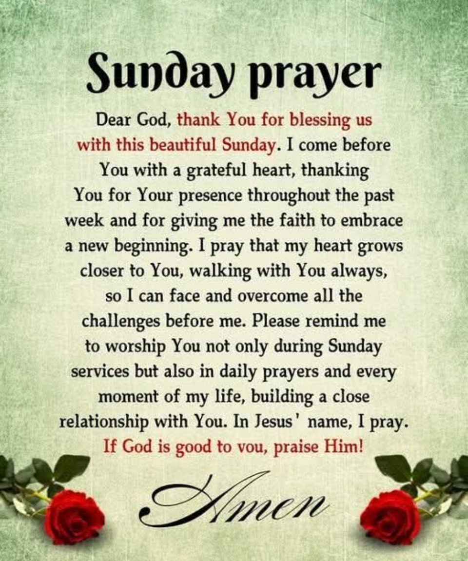 ✦Zack 𝕻𝖚𝖗𝖊𝖇𝖑𝖔𝖔𝖉✦ tweet media