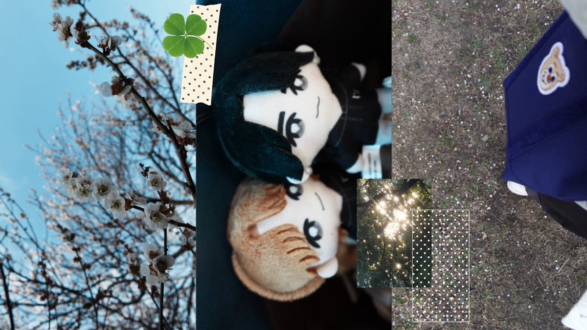 𝘢𝘳𝘶 tweet media