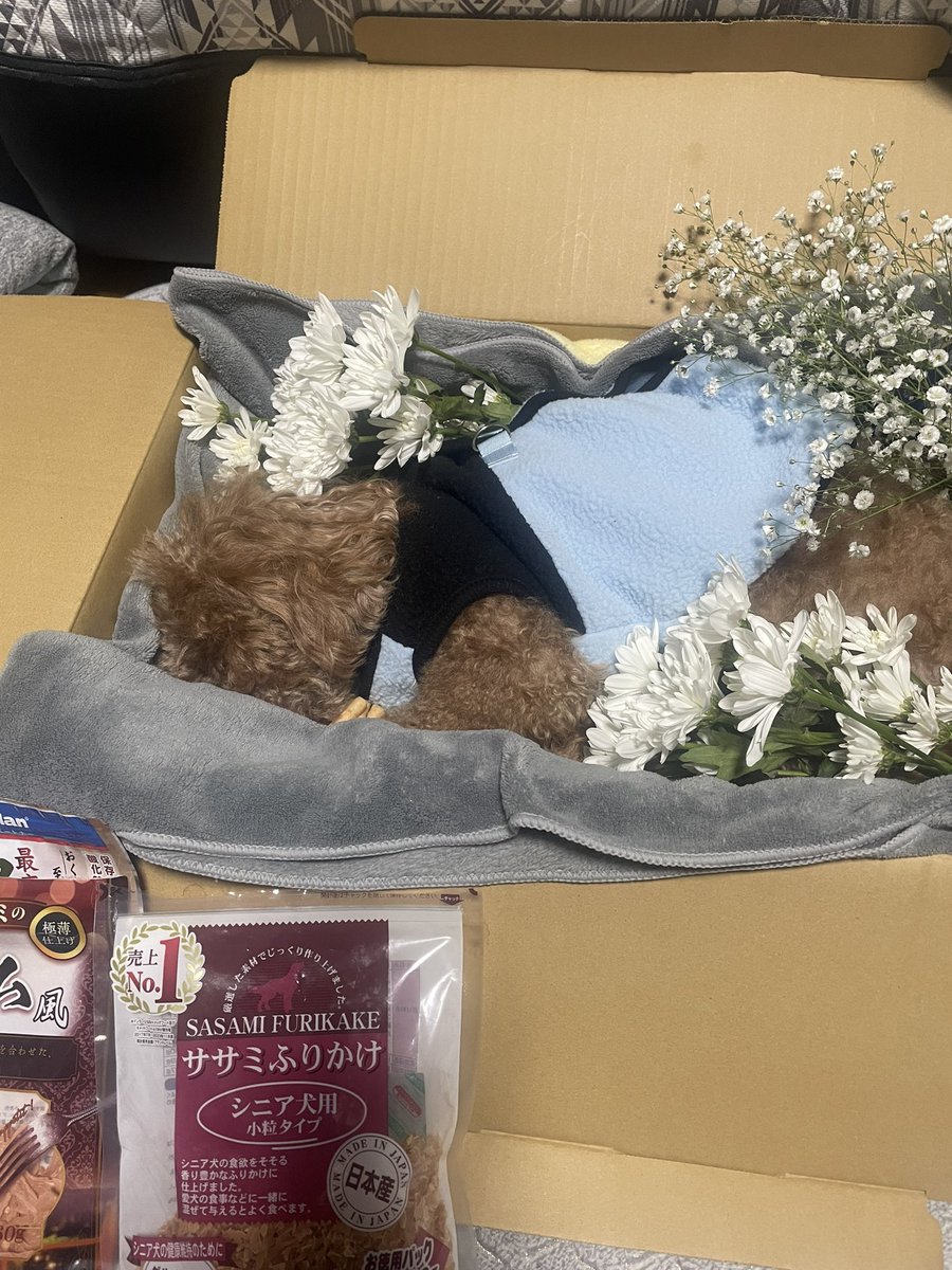 ライちゃん☆ tweet media