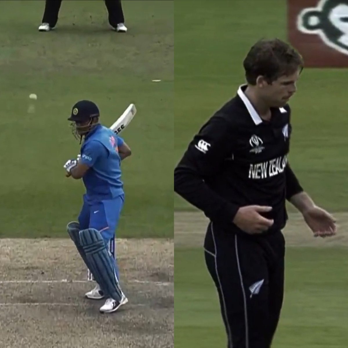 Crazy Cricket Memes (parody) tweet media