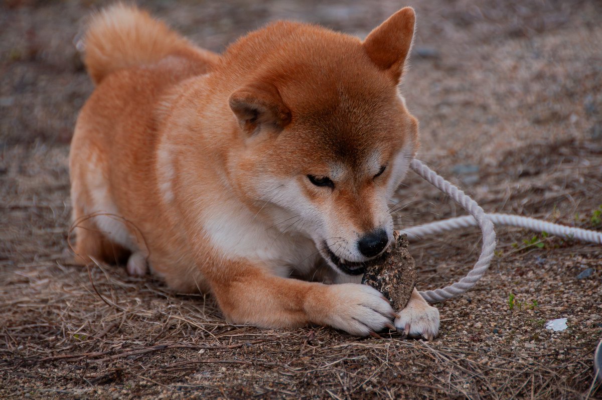 ゆうき tweet media