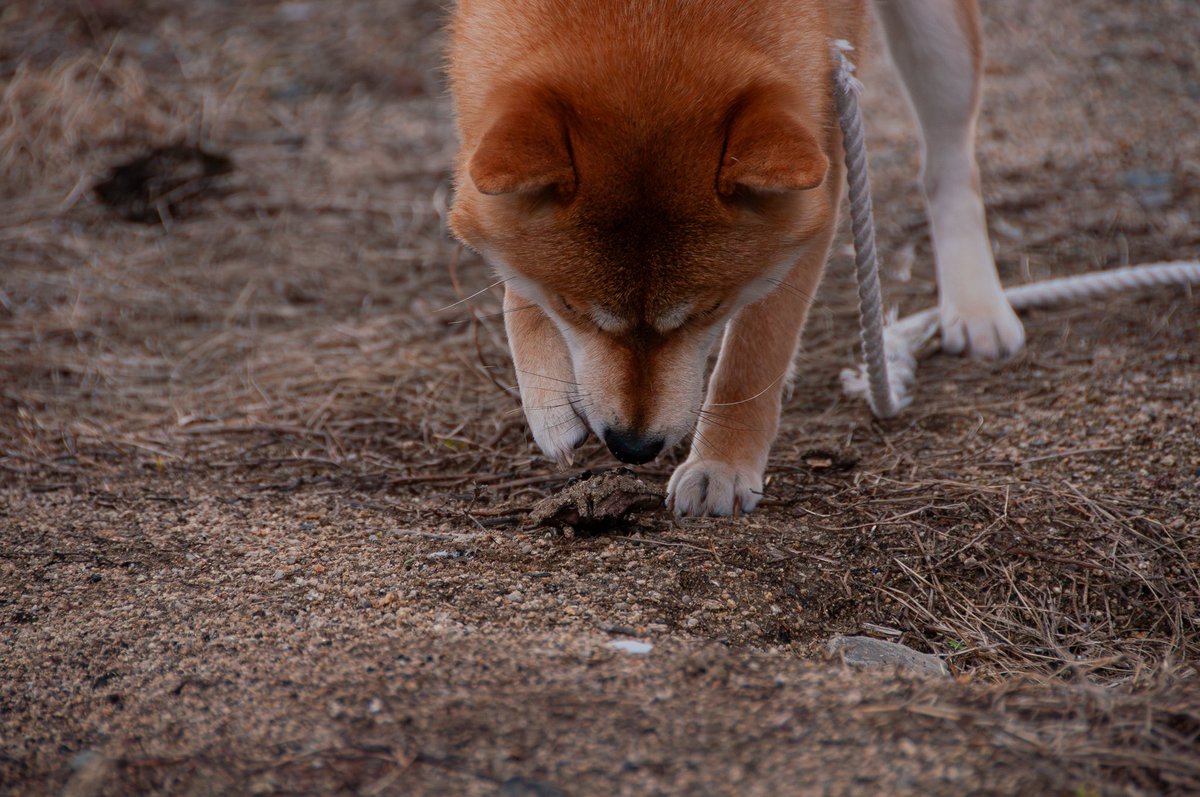 ゆうき tweet media