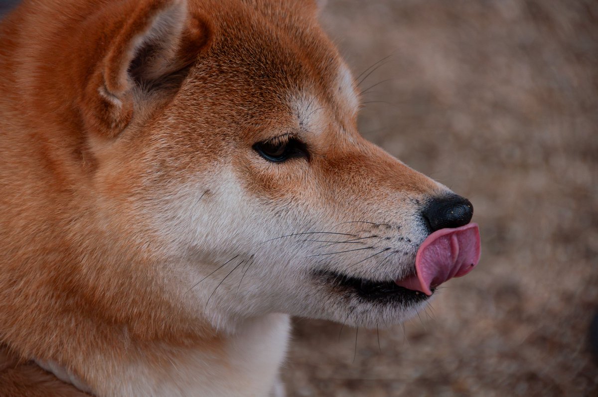 ゆうき tweet media