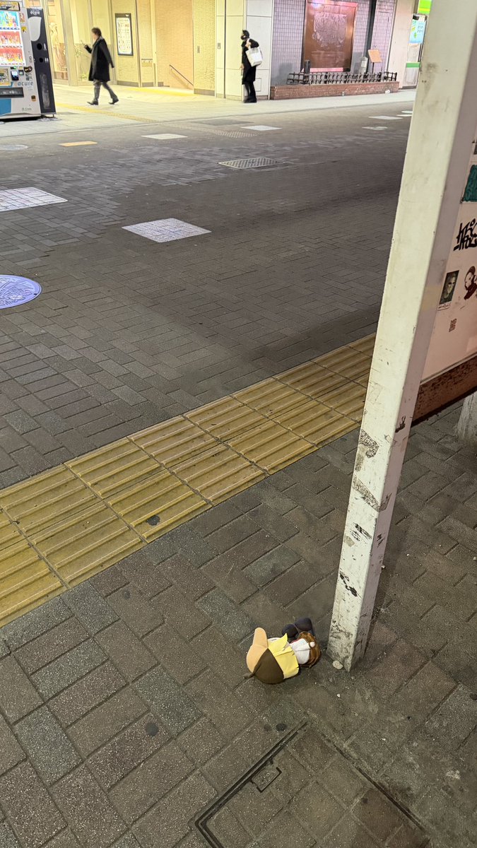 ケネス Kenneth 🧸 ♔ 🍒✨☄️👾🍃 tweet media