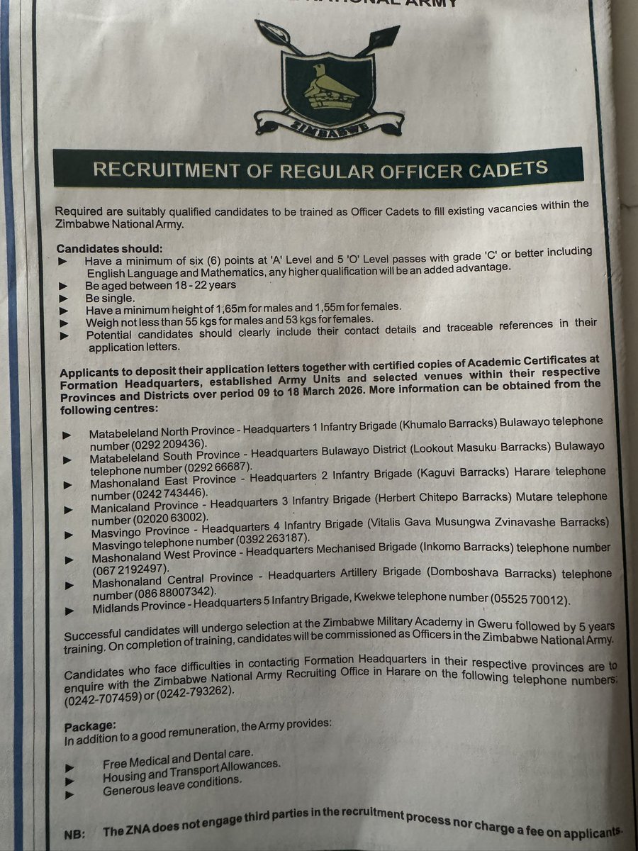 Nick Mangwana tweet media