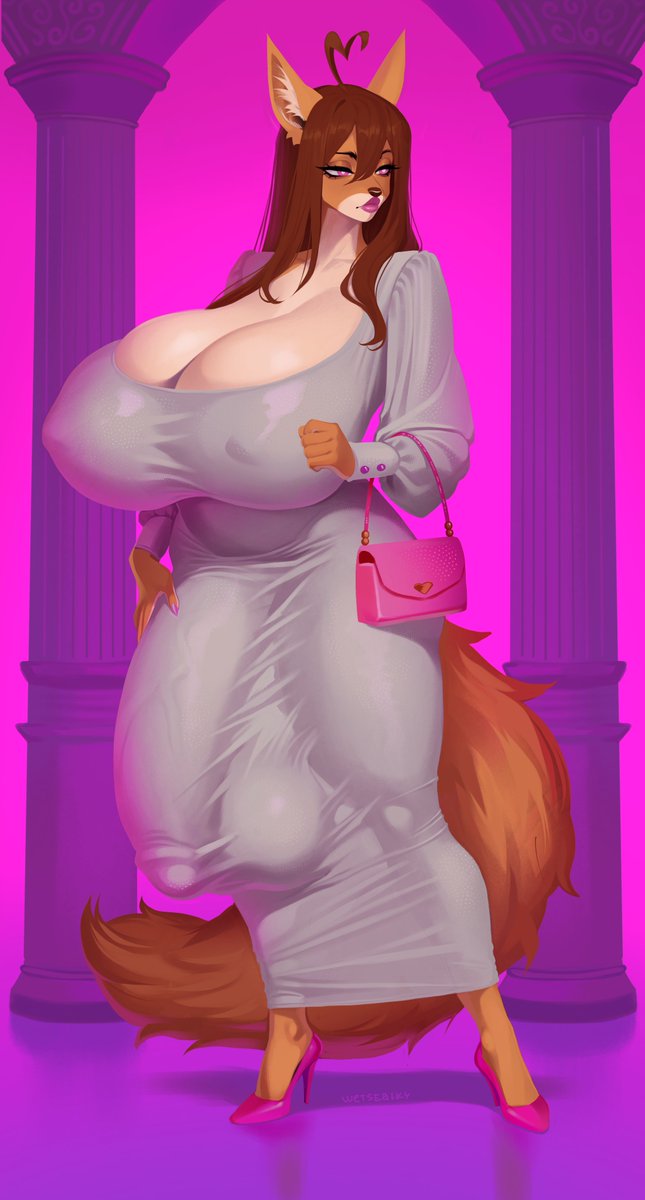 Packed with accessories