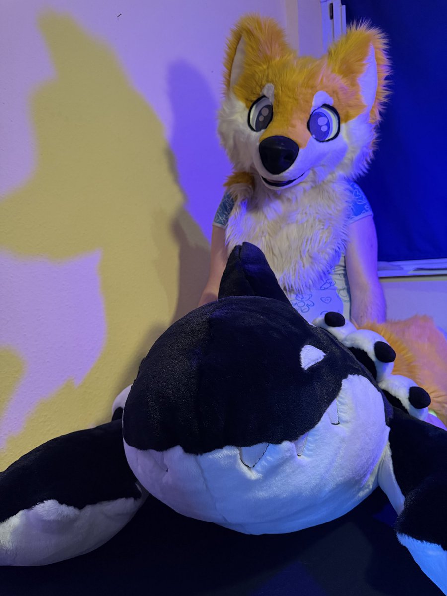 odniM⬅SMOL tweet media