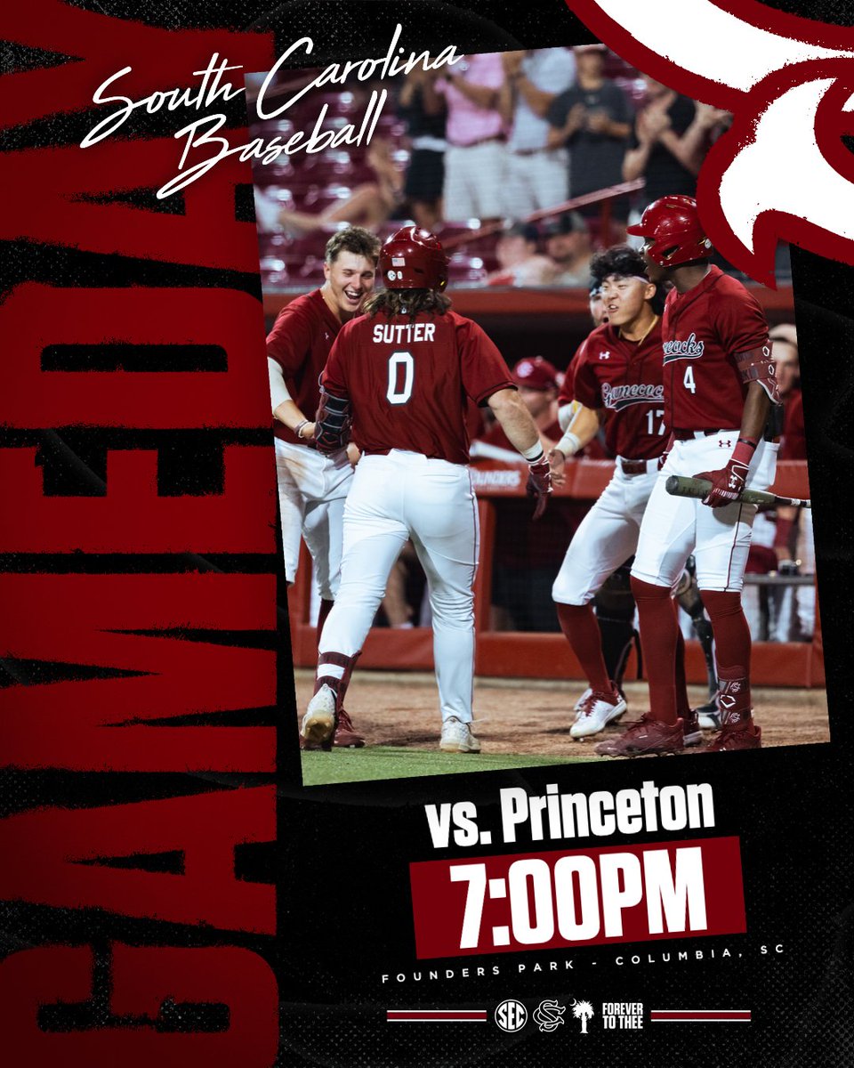 South Carolina Baseball tweet media
