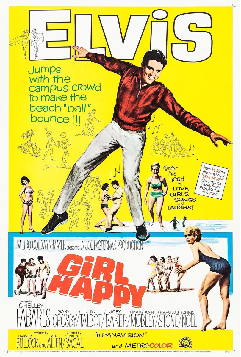 🎃 What About Bob 🎃 tweet media