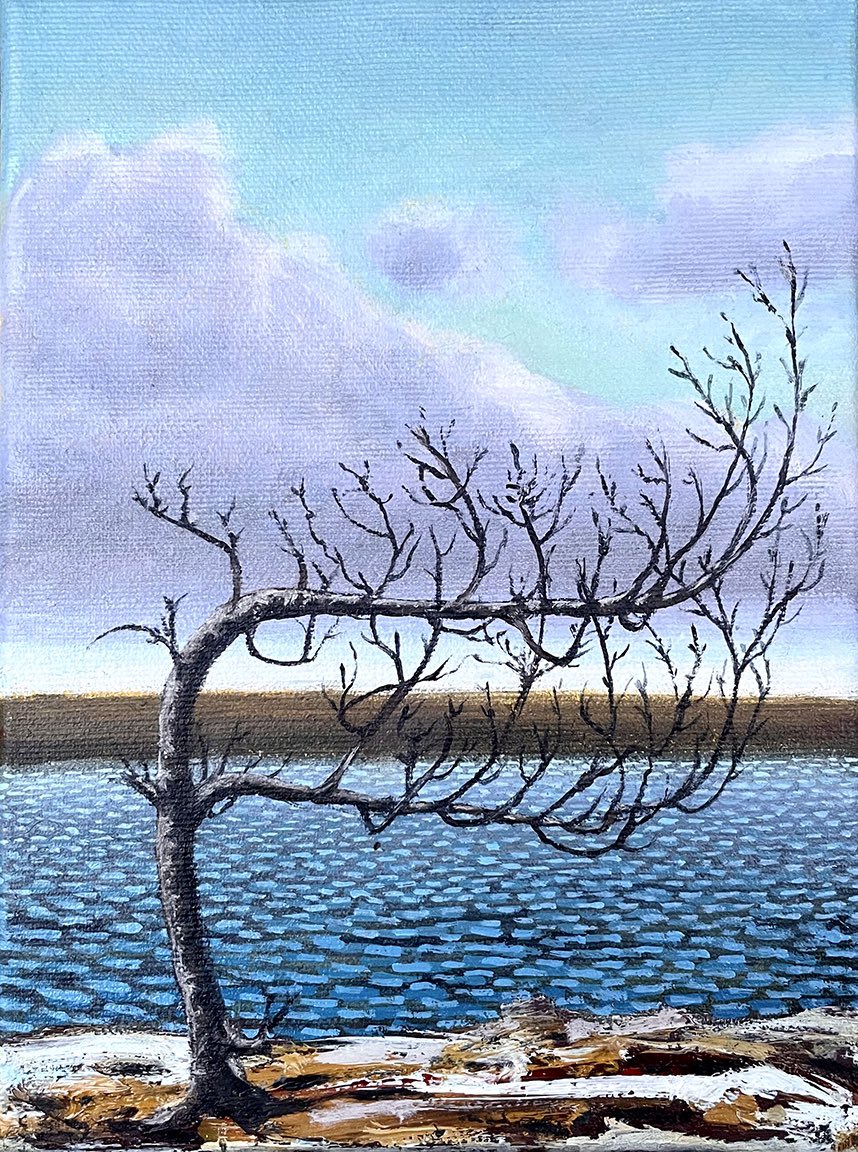 johnkinsella52's tweet photo. A warm March day today-
March Shore 2022
Oil on canvas
8 x 6 inches
#art #ArtLovers #painting #oilpainting
#springisontheway https://t.co/2tmCZHNXBd