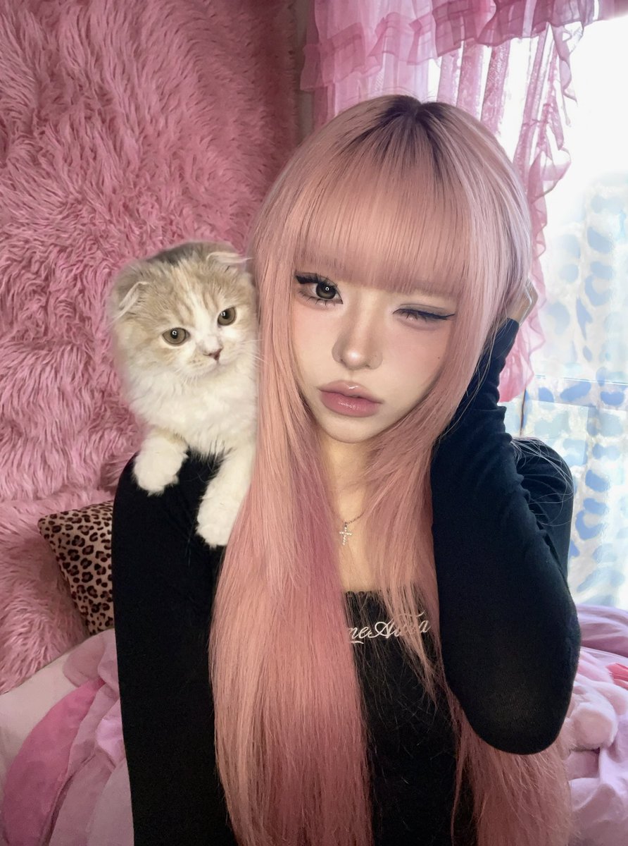 まやくん tweet media