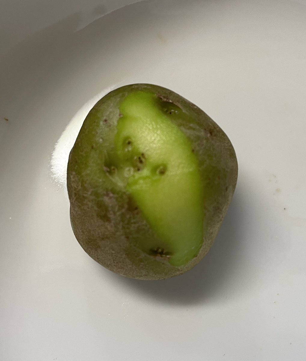 αlpha βetta (alpha)🐟🌙【V-Dere】 tweet media