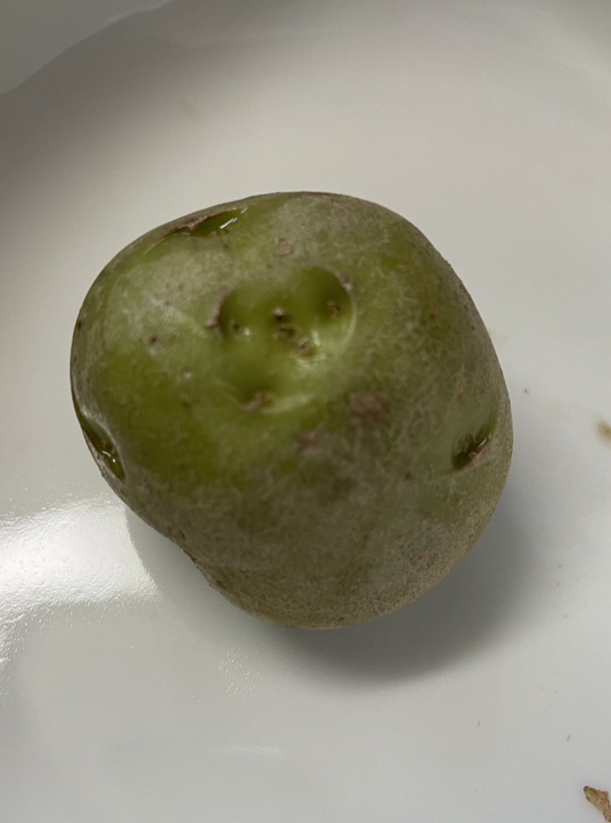 αlpha βetta (alpha)🐟🌙【V-Dere】 tweet media